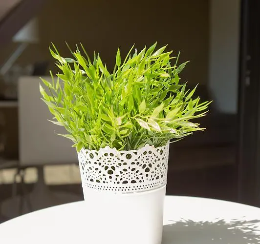 아파트 Urban Flat *